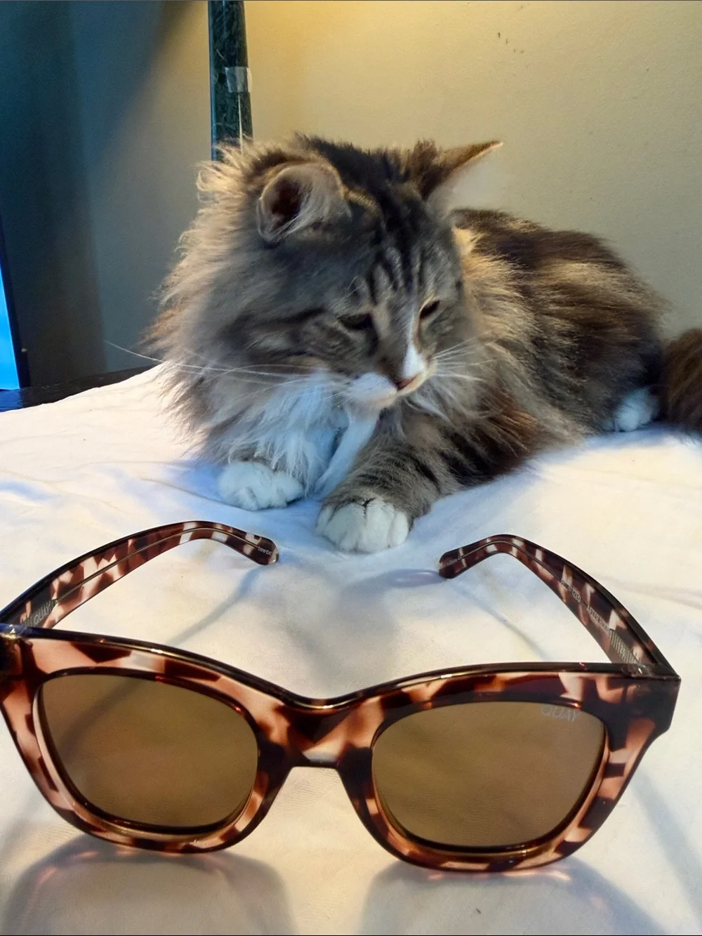 QUAY Tortoiseshell Cat-Eye Sunglasses - Brown